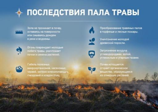 Последствия пала травы