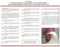 Высокопатогенный грипп птиц