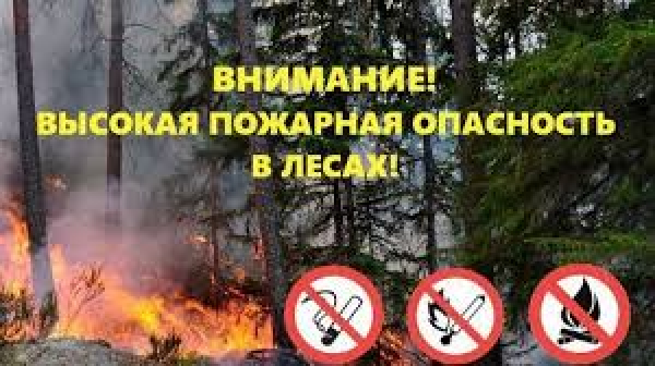 Внимание