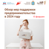 Обзор мер поддержки предпринимательства в 2024 году